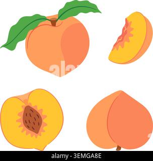 Flache Illustration eines Pfirsichfruchtsatzes, einschließlich ganzer Früchte mit halb geschnittenen Blättern mit Samenkit und Scheibe. Bunte Vektorelemente für Aufkleber, Menüs, Poster, Lebensmittelverpackungen, Rezeptblogs. Stock Vektor