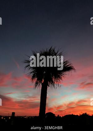 Eine lebendige und atmosphärische Komposition, die einen dramatischen Nachthimmel mit satten Farbverläufen von tiefem Rot und kühlem Blau mit einer Handfläche einfängt. Stockfoto