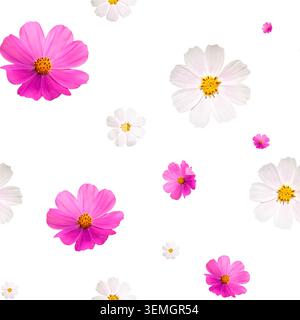 Abstraktes Hintergrundmuster von nahtlosen rosa und weißen Kosmos Blumenköpfen, die auf weißer Hintergrundoberfläche verstreut sind Stockfoto