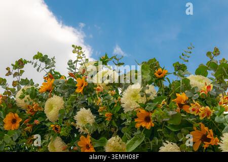 Elegantes Blumenarrangement mit weißen Chrysanthemen, gelben Blüten und üppigem Grün vor einem leuchtend blauen Himmel, ideal für Feiern und dezember Stockfoto