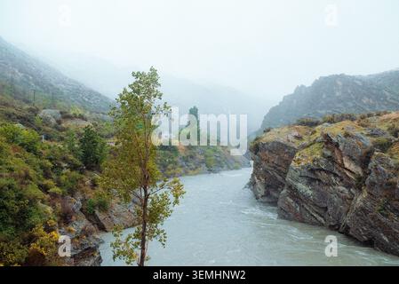 Cromwell, Neuseeland: Einsamer grüner Baum am Ufer des kawarau River in der tiefen Felsschlucht unterhalb der nebligen Berghänge der alpinen Wildnis. Stockfoto