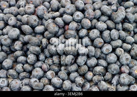 Heidelbeeren zum Verkauf auf dem Töölöntori Market, Helsinki, Finnland. Mai 2026 Stockfoto