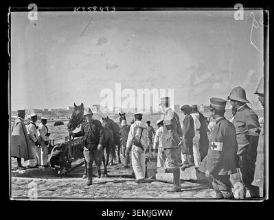 Während des Türkisch-Italienischen Krieges von 1911 entladen italienische Soldaten Pferde von Booten im Hafen von Tripolis und bereiten Kavallerie-Einheiten für den Militärangriff in Libyen vor. Stockfoto
