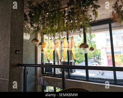 Serbien Kragujevac 05.06.2026 Hängende Pflanzen Modernes Cafe Innenfenster Stockfoto