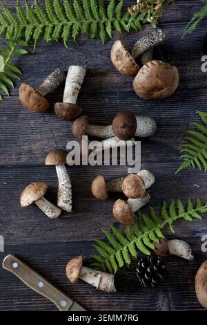 Korb mit essbaren weißen Pilzen Porcini edulis. Das Sammeln von Steinpilzen im Wald Stockfoto