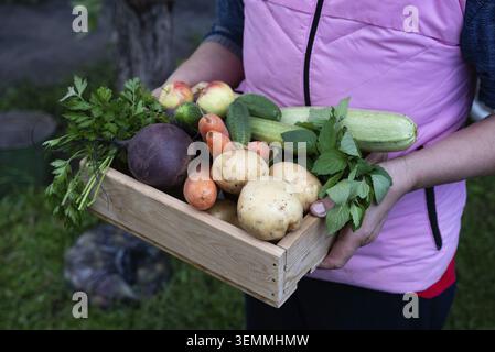 Eine Holzkiste mit bunten Gemüse und Früchten wie Gurken, Äpfeln, Karotten und Süßkartoffeln steht bei Tageslicht in einem lebendigen Garten Stockfoto