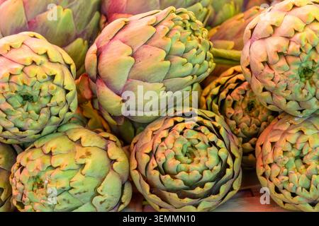 Frische Artischocken auf dem zentralen Markt in der Altstadt, Trogir, Kroatien. Stockfoto