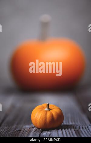 Große und kleine orangene Kürbisse auf einem alten rostigen Holztisch aus nächster Nähe. Thanksgiving- oder Halloween-Konzept. Herbst, Herbst und Kürbis Stockfoto