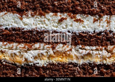 Schokoladenschwamm-Kuchen-Querschnittsschichten Textur-Makro. Nahaufnahme des Vollbildes von köstlicher mehrschichtiger Schokoladenkuchen mit weißer Sahne und Früchten Stockfoto