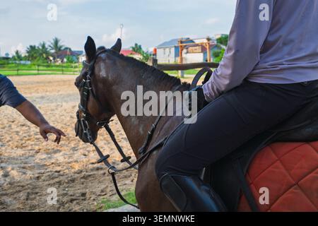 Nahaufnahme eines Reiters, der in einer Sandtrainingsarena auf einem Lorbeerpferd sitzt. Der Fahrer trägt schwarze Hosen, hohe Stiefel und Handschuhe. Stockfoto