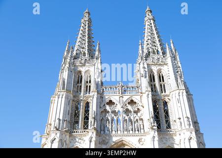 Ein detaillierter Blick auf die Türme der Kathedrale von Burgos mit gotischen Türmen, kunstvollen Steinschnitzereien und spitzen Bögen vor einem hellblauen Himmel. Stockfoto