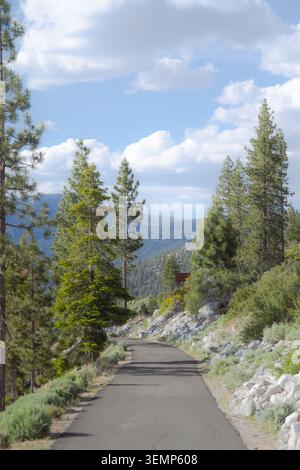 Gepflasterte Bergstraße schlängelt sich durch Kiefern mit Blick auf das Tal, blauem Himmel und Wolken und zeigt eine friedliche Sommerlandschaft. Stockfoto