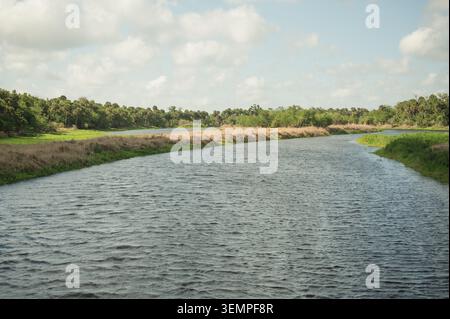 Ein breiter Fluss schlängelt sich durch ein grasbewachsenes Marschland Floridas Stockfoto