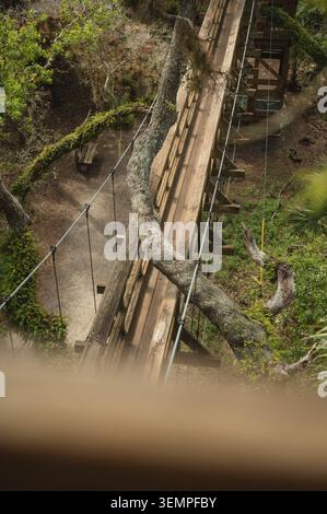 Blick aus einem hohen Winkel auf den Gehweg mit Holzdach im Myakka River State Park Stockfoto