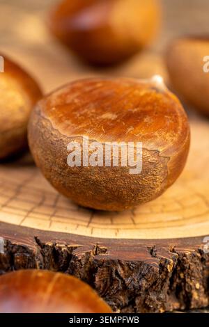 Essbare geerntete Kastanien, eine Gruppe großer frischer Kastanien, geerntet und auf einem alten Holztisch während des Kochens und Kochens verstreut, Kastanienschale Stockfoto