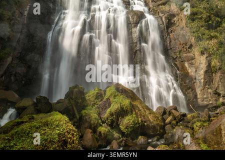 Blick aus der Vogelperspektive auf die Marokopa Falls mit seidenem Wasser, das über gestufte Felswände und moosbedeckte Felsbrocken fließt, Te Anga, Waikato Region, Neuseeland. Stockfoto