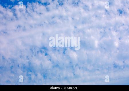 Wunderschöne gewellte und zirrusförmige Wolken in einem blauen Himmel vor Regen. Folk Omen Stockfoto