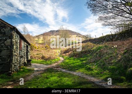 Ein HDR-Bild der Bark House Mountain Base in der Nähe der Ashness Bridge auf Derwent Water in Cumbria, England. April 2026 Stockfoto