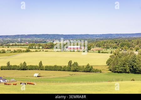 Im Sommer können Sie in einer ländlichen Landschaft mit Feldern und üppigen grünen Bäumen speisen Stockfoto