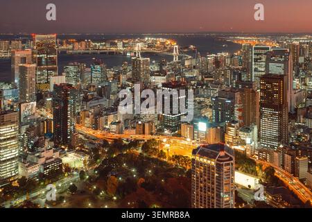 Panoramablick auf die beleuchtete Skyline von Tokio und das leuchtende Netz von Autobahnüberführungen bei Nacht, Japan Stockfoto