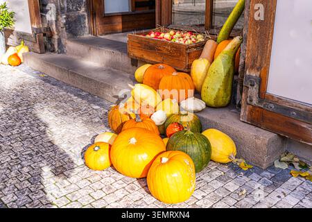 Stellen Sie verschiedene Kürbisse auf die Türschwelle. Halloween- und Thanksgiving-Dekorationen. Herbstdekor. Gemüseernte im Herbst. Türhaus Stockfoto