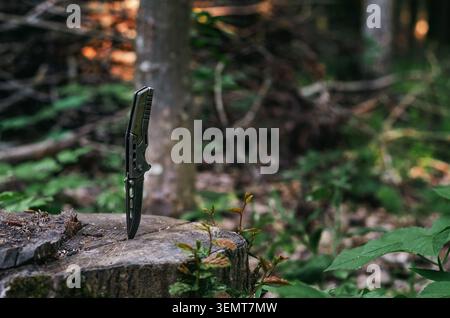 Faltbares Metallmesser auf altem Holzstumpf vor dem Hintergrund einer verschwommenen Waldlandschaft mit Baumstämmen und Licht, das durch Äste bricht. Stockfoto