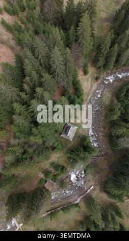 Vertikale Drohnenaufnahme einer traditionellen Holzhütte auf einer kleinen Wiese inmitten eines dichten Fichtenwaldes neben einem sich windenden Bergbach, unberührte Frühlingsnatur Stockfoto