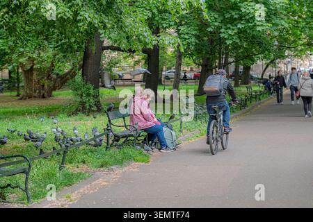 Eine reife Frau in einer rosa Jacke sitzt auf einer grünen Eisenbank, die in einem von Bäumen gesäumten öffentlichen Park in Krakau, Polen, eine große Taubenherde füttert Stockfoto