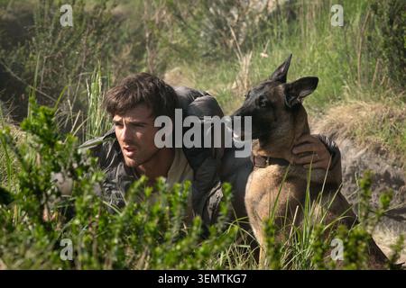 Der Hund Ist Jacob Elordi Stockfoto