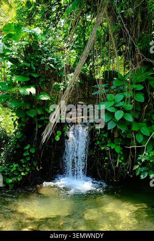 Kleiner Dschungel-Wasserfall umgeben von tropischer Vegetation (Tamasopo, San Luis Potosi, Mexiko) Stockfoto