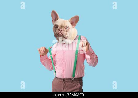 Französischer Bulldogkopf am menschlichen Körper mit rosa Hemd und grünen Hosenträgern, kreativem Tierhybridkonzept, dieses kreative Tierhybridkonzept kombiniert p Stockfoto
