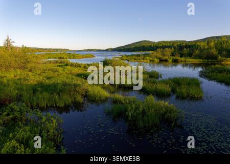 Der Saint-Charles-See, nördlich von Québec City, vom nördlichen Marais du Nord aus gesehen (Stoneham-et-Tewkesbury, Quebec, Kanada) Stockfoto