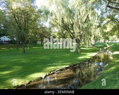 Ruhiger japanischer Garten im frühen Herbst mit einem ruhigen kleinen Fluss, der durch lebhaftes grünes Gras und üppiges grünes Laub fließt Stockfoto