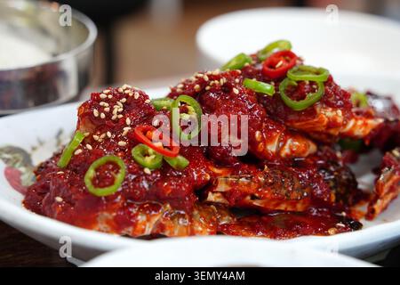 Scharfe und süße koreanische marinierte rohe Krabbe mit Chili und Sesamsamen Stockfoto