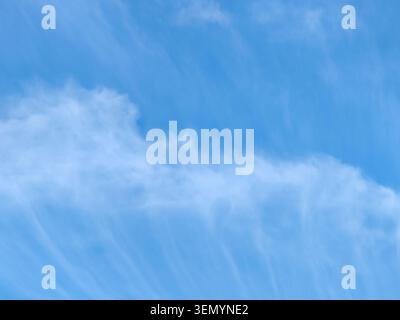 Cirrus Wolken gegen klaren blauen Himmel. Wolken sehen aus wie dünne weiße Streifen. Kopierbereich Stockfoto