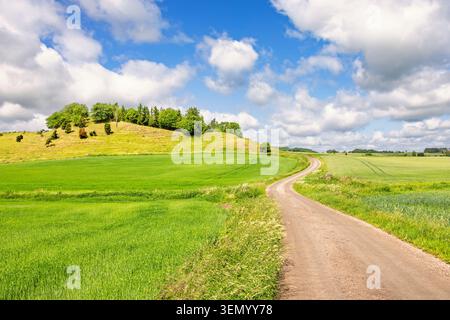 Kurvenreiche Straße in einer wunderschönen ländlichen Landschaft im Sommer Stockfoto