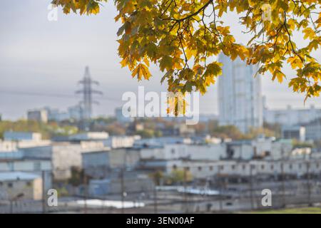 Herbststadt mit Kastanienzweigen in goldorangefarbenem Laub im Vordergrund. Stockfoto