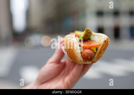 Nahaufnahme einer Hand, die einen traditionellen Hotdog im Chicago-Stil hält, auf dem Hintergrund der Stadt. Fast Food, amerikanische Küche, Street-Food-Kultur und Sommer-Lunch Stockfoto