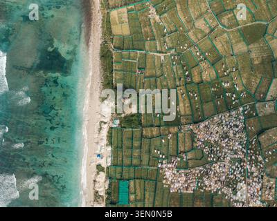 Blick aus der Vogelperspektive auf das landwirtschaftlich genutzte Land und ein kleines Dorf in der Nähe der türkisfarbenen Meereswellen. LY Son Island, Vietnam Stockfoto