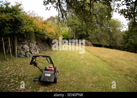 Ein einsamer Rasenmäher sitzt auf einem grasbewachsenen Rasen, umgeben von üppigen Bäumen und Laub. Auckland, Neuseeland Stockfoto