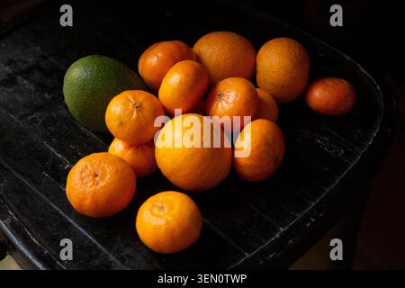 Eine Vielzahl von Orangen und eine Avocado auf einer dunklen Holzoberfläche. Stockfoto
