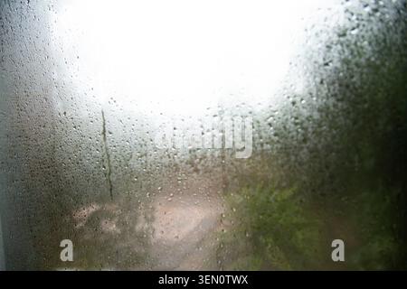 Regentropfen an einem Fenster mit verdecktem Blick auf das grüne Laub draußen. Stockfoto