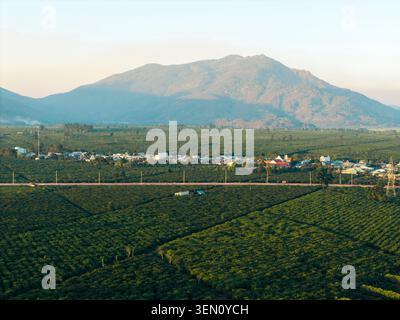Blick aus der Vogelperspektive auf üppige grüne Felder mit Bergkulisse und ein kleines Dorf unter dem Horizont. Stockfoto