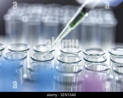 Pipettieren Sie Flüssigkeit in eine Reihe von Glasröhrchen in einer Laborumgebung. Stockfoto