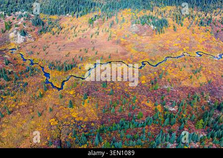 Blick aus der Vogelperspektive auf einen sich windenden Fluss durch farbenfrohen Herbstwald mit Grün und Orangen. Stockfoto