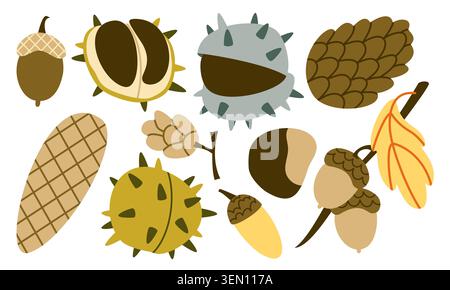 Herbst Wald Samen Vektor Set Flache Geometrische Kiefernzapfen Acorn Kastanie Sammlung Stock Vektor