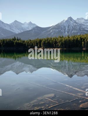 Ruhiger See mit schneebedeckten Bergen und üppig grünen Wäldern unter klarem Himmel. Stockfoto