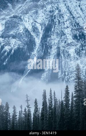 Schneebedeckter Berg mit immergrünen Bäumen und nebeliger Atmosphäre. Stockfoto