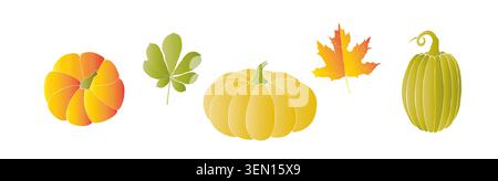 Vektor-Set mit Kürbissen, grafische Hand gezeichnete isolierte Illustration. Halloween Herbst Ahorn, Eichenblatt, Gemüse perfekt für Ernte und Thanksgiving Stock Vektor