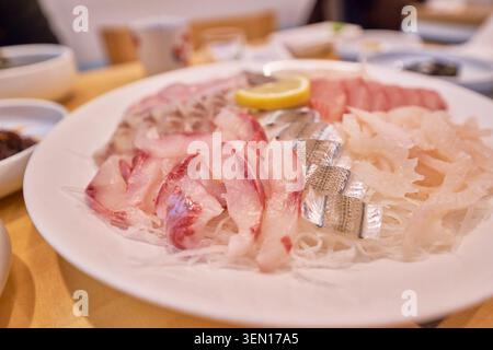 Authentische gemischte Sashimi-Platte mit frischer Meerbarbe, Halbschnabel und Hahnenhai auf einer weißen Keramikplatte, die das Wesen traditioneller koreanischer Coas einfängt Stockfoto